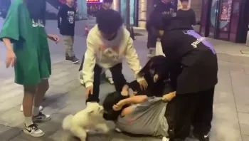 小仙女打架也很带劲啊，女孩子打架只会抓头发扒衣服.MP4