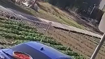 都提醒你了：车屁股上有 辣椒 有辣椒.MP4