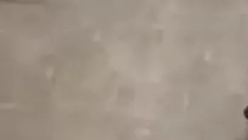 deletecha缅北   赔付也不要你的钱，就为了打你，没业绩就打死你。.MP4